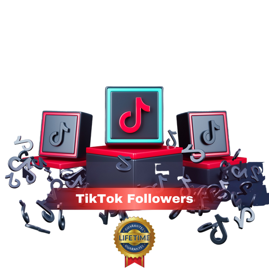 Tiktok Followers! 🚀